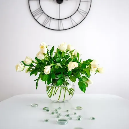 Apartament Baltic De Lux Platan Parking Free *