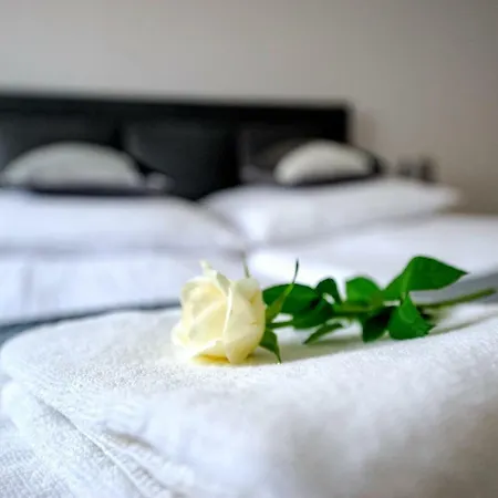 Baltic De Lux Platan Parking Free * Świnoujście