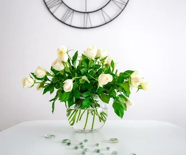 Apartmán Baltic De Lux Platan Parking Free *