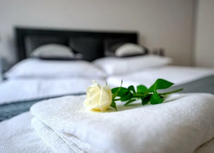 Baltic De Lux Platan Parking Free * Svinoústí